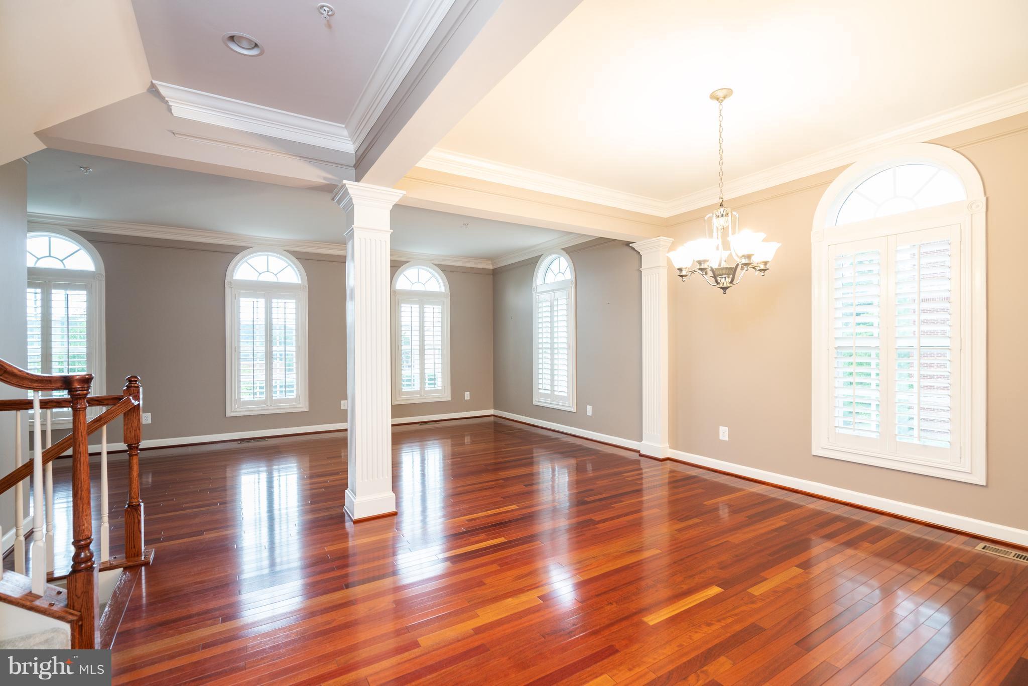 900 West Glebe Road Alexandria, VA 22305 - Photo 13 of 25 Gorgeous Open Concept Living