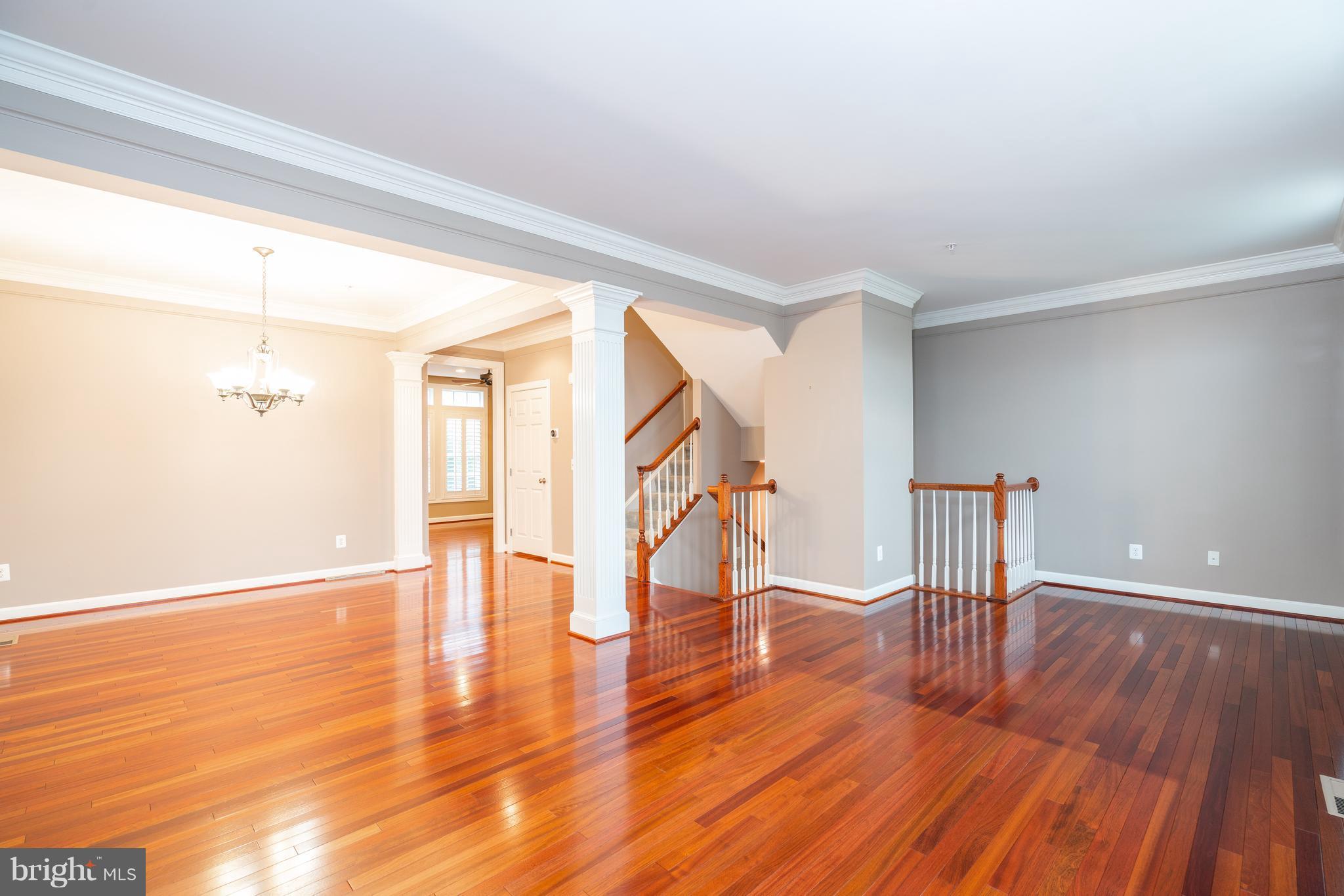 900 West Glebe Road Alexandria, VA 22305 - Photo 15 of 25 Gorgeous Open Concept Living