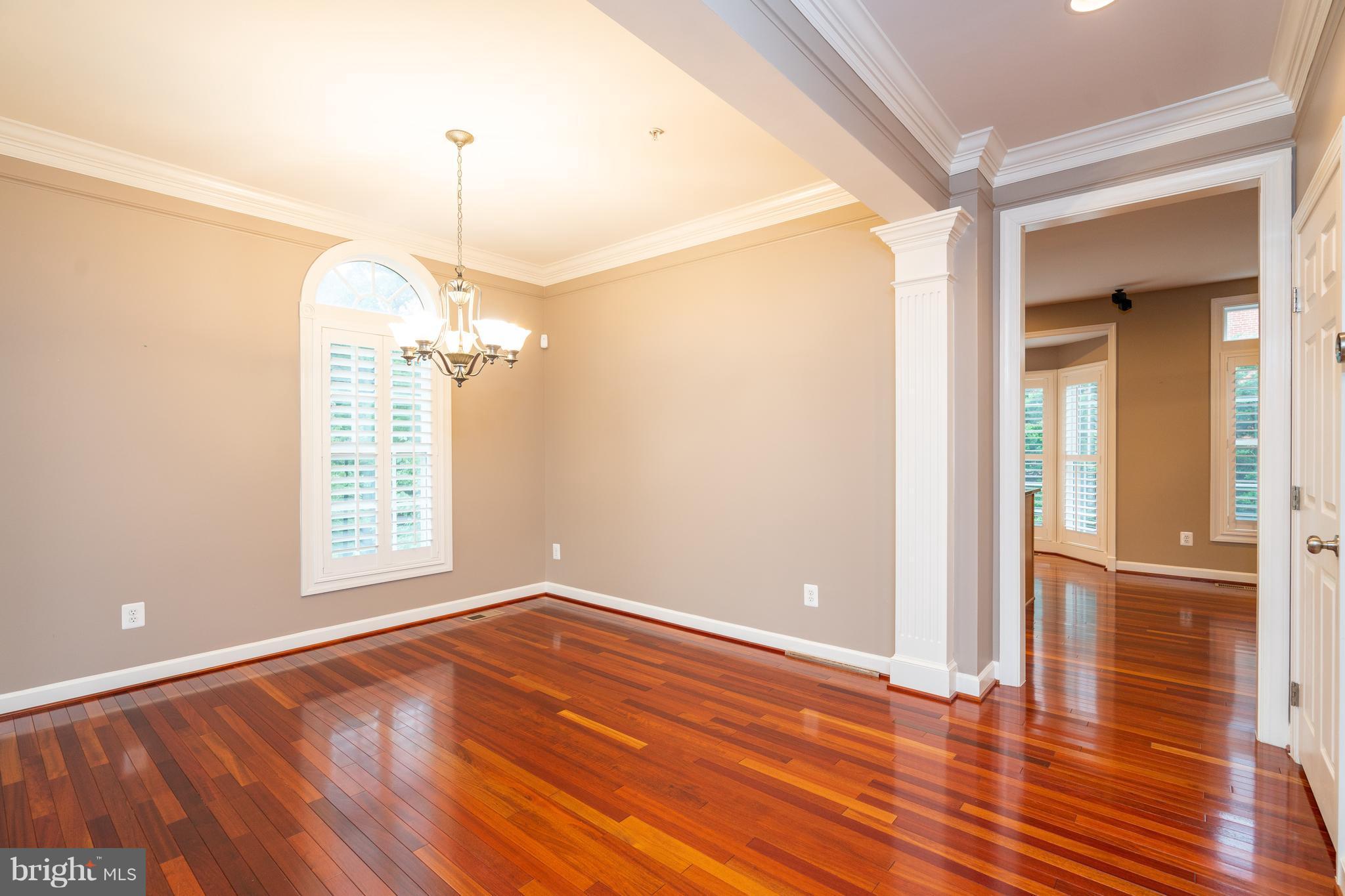 900 West Glebe Road Alexandria, VA 22305 - Photo 16 of 25 Gorgeous Open Concept Living