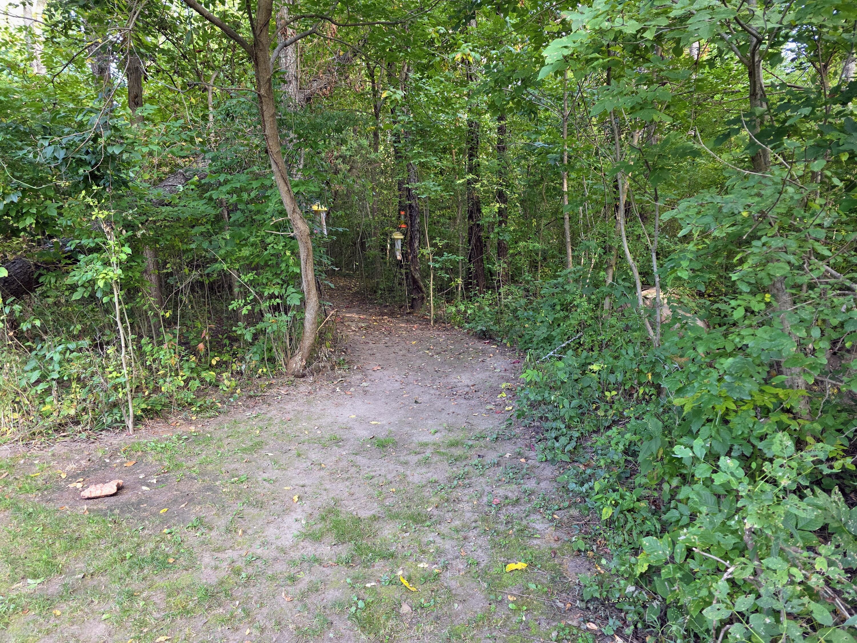 1063 Fisher Road Quincy, MI 49082 - Photo 32 of 37 20250910_173843~2