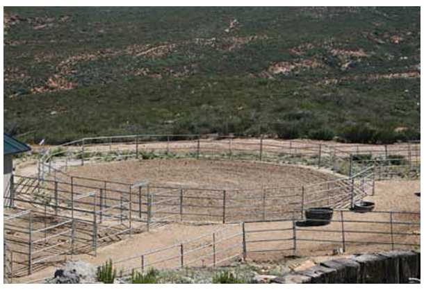 20944 Windle View Road Ramona, CA 92065 - Photo 20 of 25 Approx. 50' round pen
