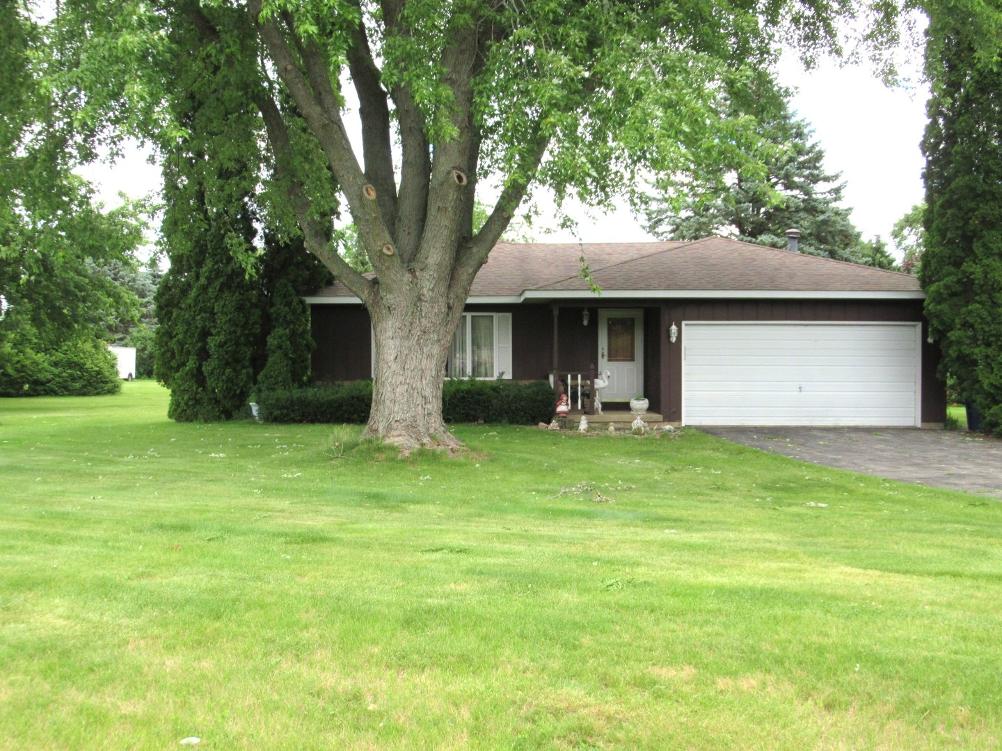 1N321 Country Life Drive Maple Park, IL 60151 - Photo 1 of 53