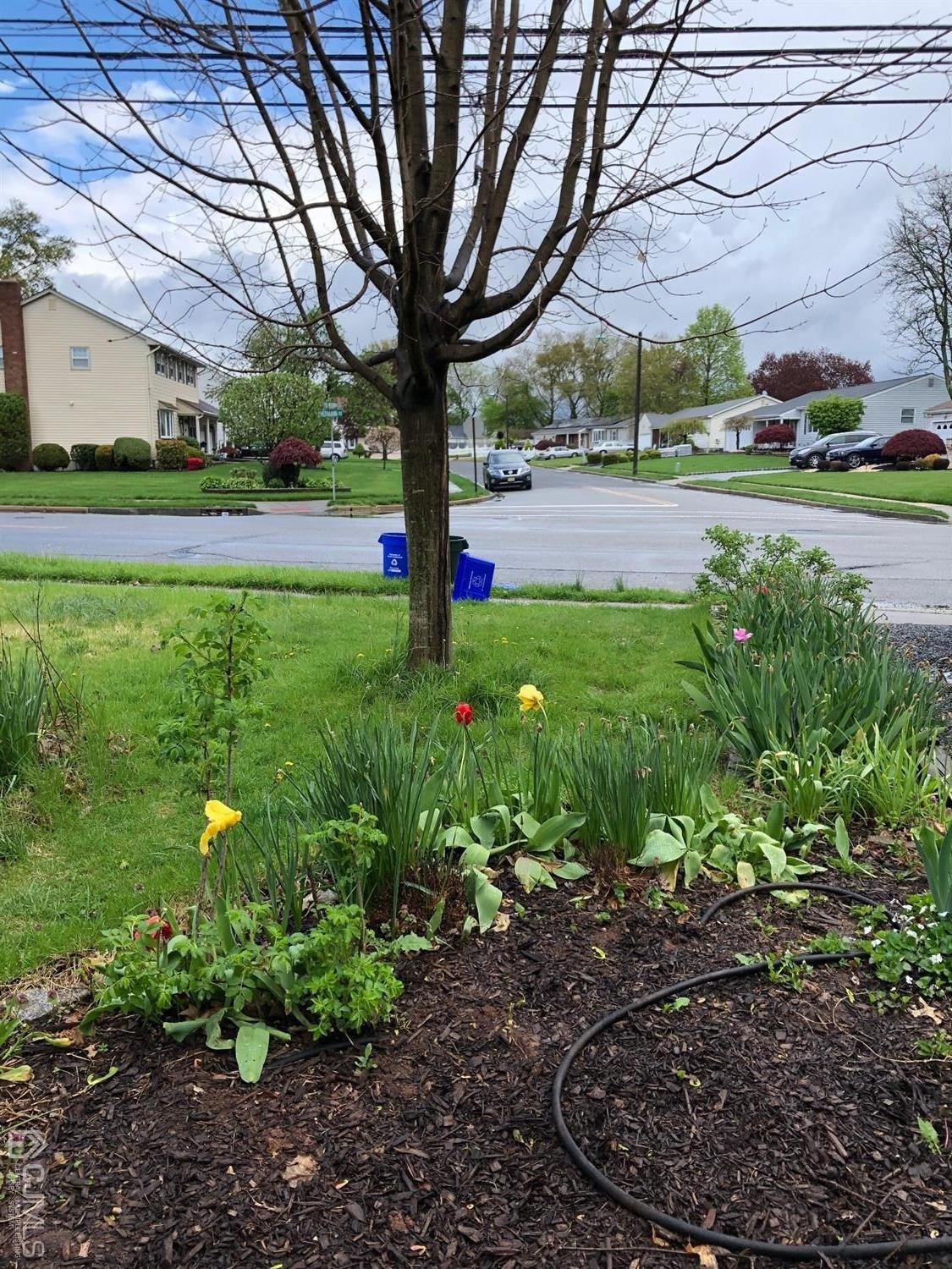 820 Hermann Road North Brunswick, NJ 08902 - Photo 15 of 16 Gallery Image 15