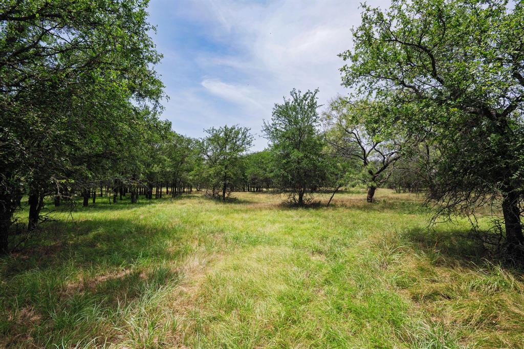 129 North FM 129 Santo, TX 76472 - Photo 1 of 28 a view of field with trees