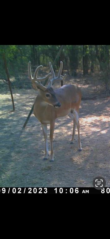 129 North FM 129 Santo, TX 76472 - Photo 11 of 28 a view of a lake