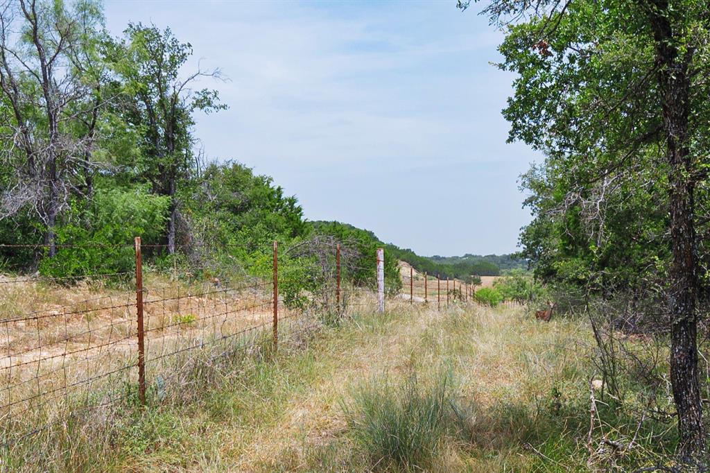 129 North FM 129 Santo, TX 76472 - Photo 12 of 28 a view of yard