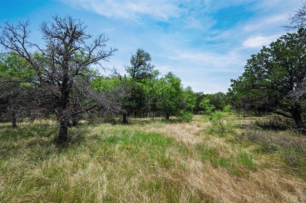 129 North FM 129 Santo, TX 76472 - Photo 15 of 28 a view of a lush green space