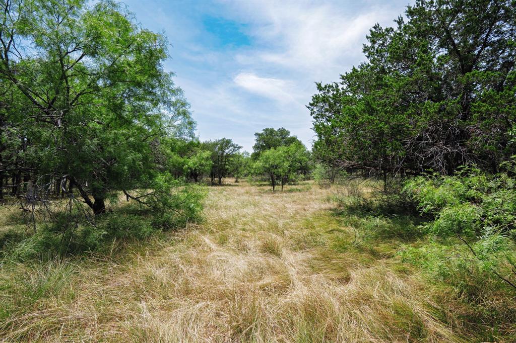 129 North FM 129 Santo, TX 76472 - Photo 16 of 28 a view of backyard with green space