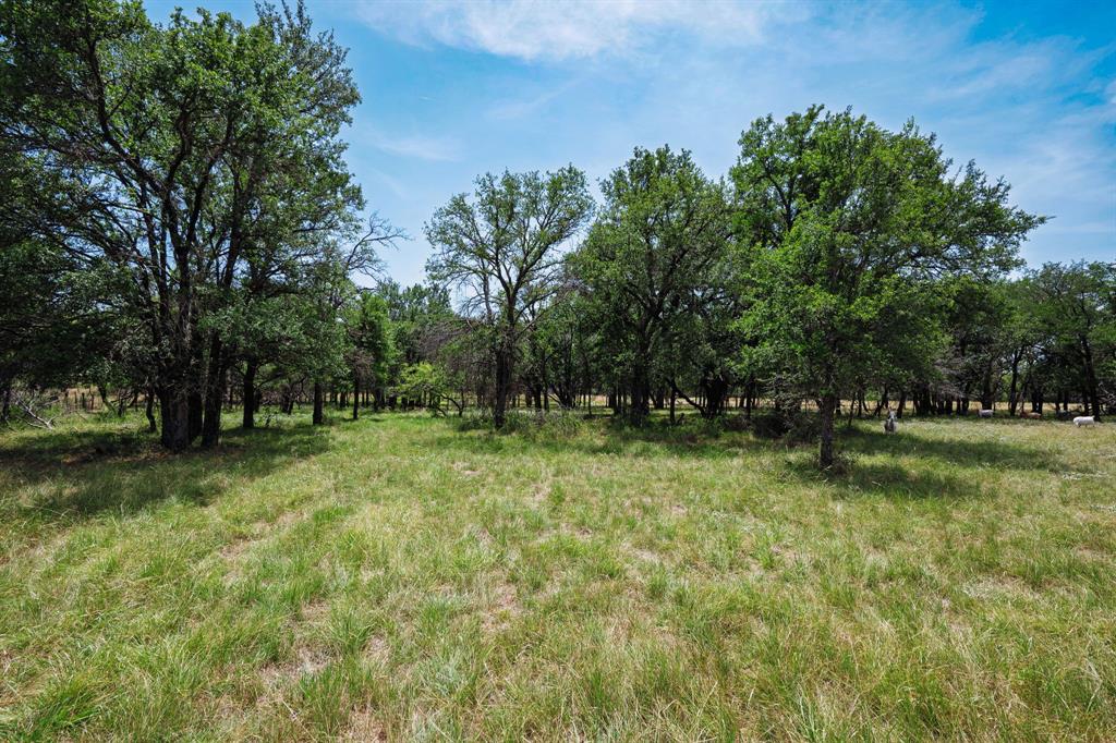 129 North FM 129 Santo, TX 76472 - Photo 18 of 28 a view of backyard with green space