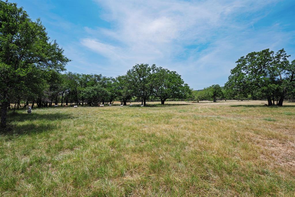 129 North FM 129 Santo, TX 76472 - Photo 19 of 28 a view of outdoor space with green field and trees