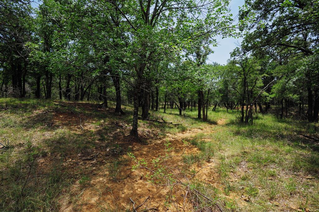 129 North FM 129 Santo, TX 76472 - Photo 10 of 28 a view of outdoor space with trees all around