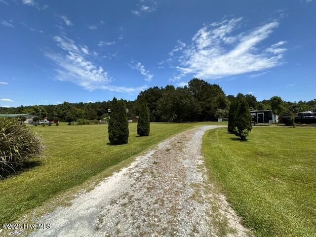 22 Old Mill Road Willard, NC 28478 - Photo 6 of 77 7