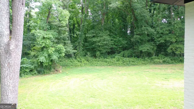 a view of a yard with a trees