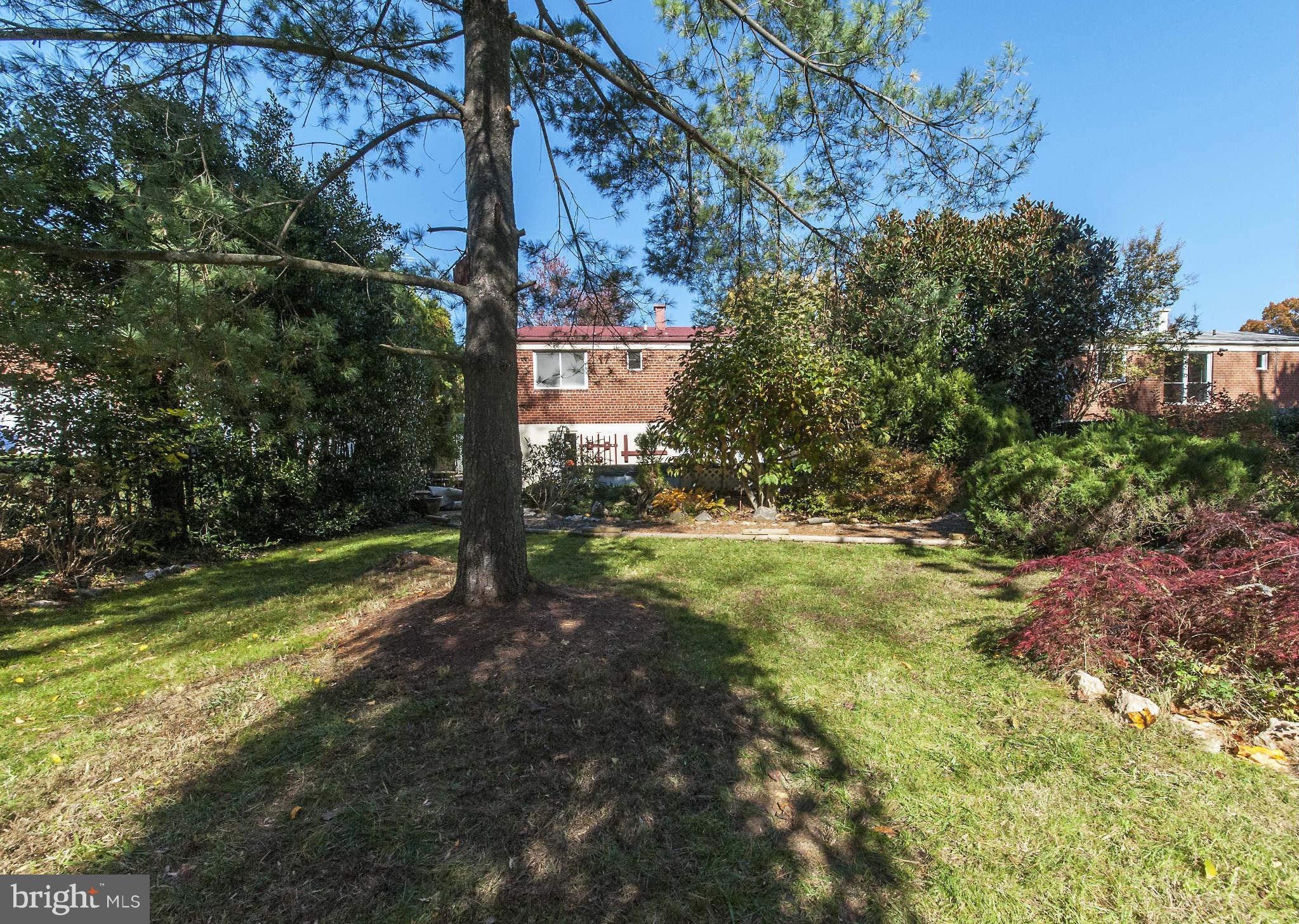 4014 Highview Drive Silver Spring, MD 20906 - Photo 20 of 22 a view of a yard with plants and trees