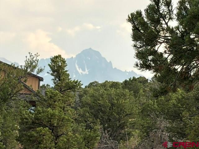 254 Waterview Cove Ridgway, CO 81432 - Photo 6 of 28