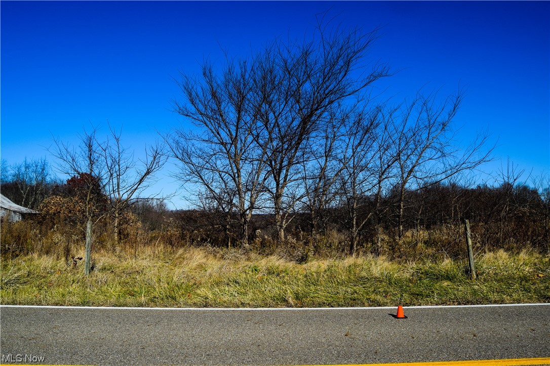 70068 Hopewell Road Kimbolton, OH 43749 - Photo 5 of 13 View of road