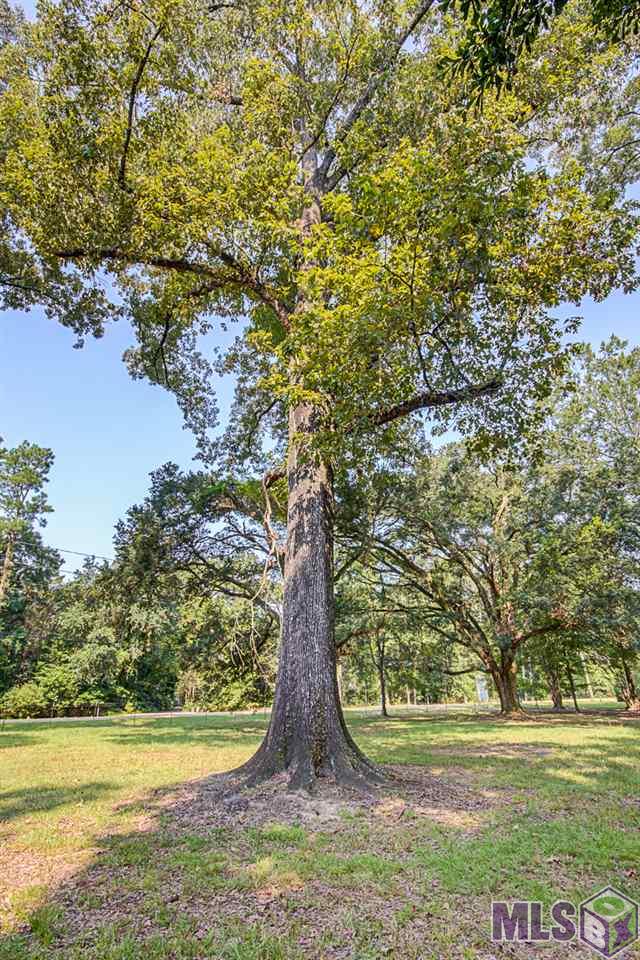 6523 East Achord Road Baton Rouge, LA 70817 - Photo 7 of 10 Gallery Image 7