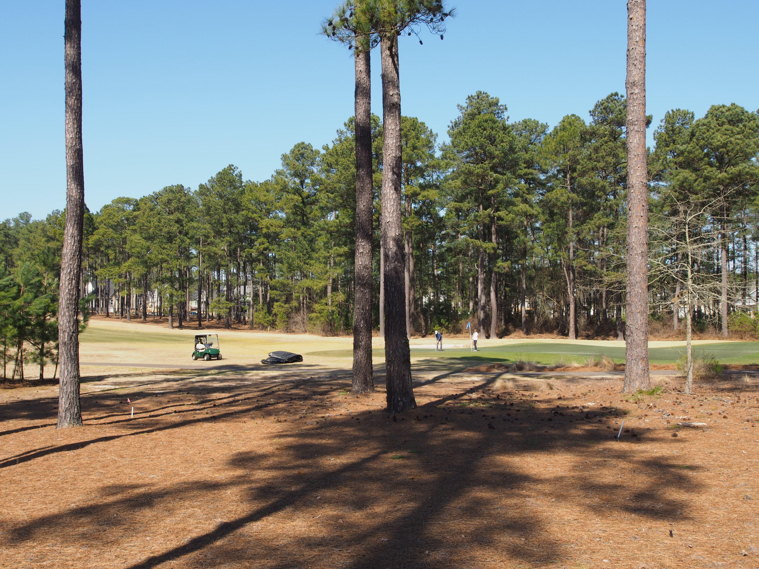 529 Kerr Lake Road Aberdeen, NC 28315 - Photo 23 of 24 golf4
