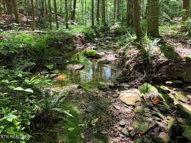 $1,299,000 | 0 Sr 111, Spencer, TN 38585