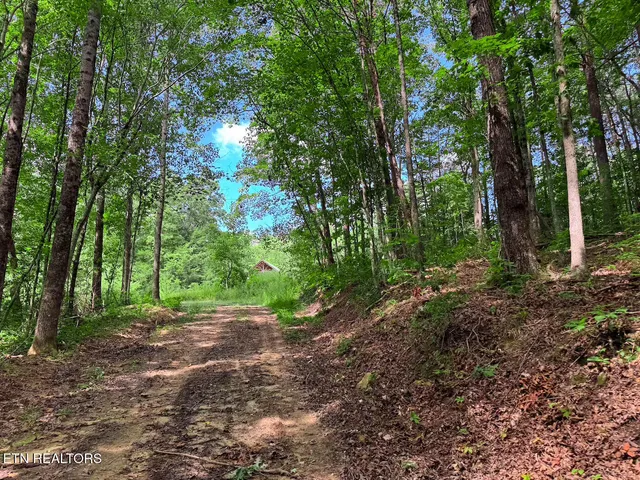 $1,299,000 | 0 Sr 111, Spencer, TN 38585