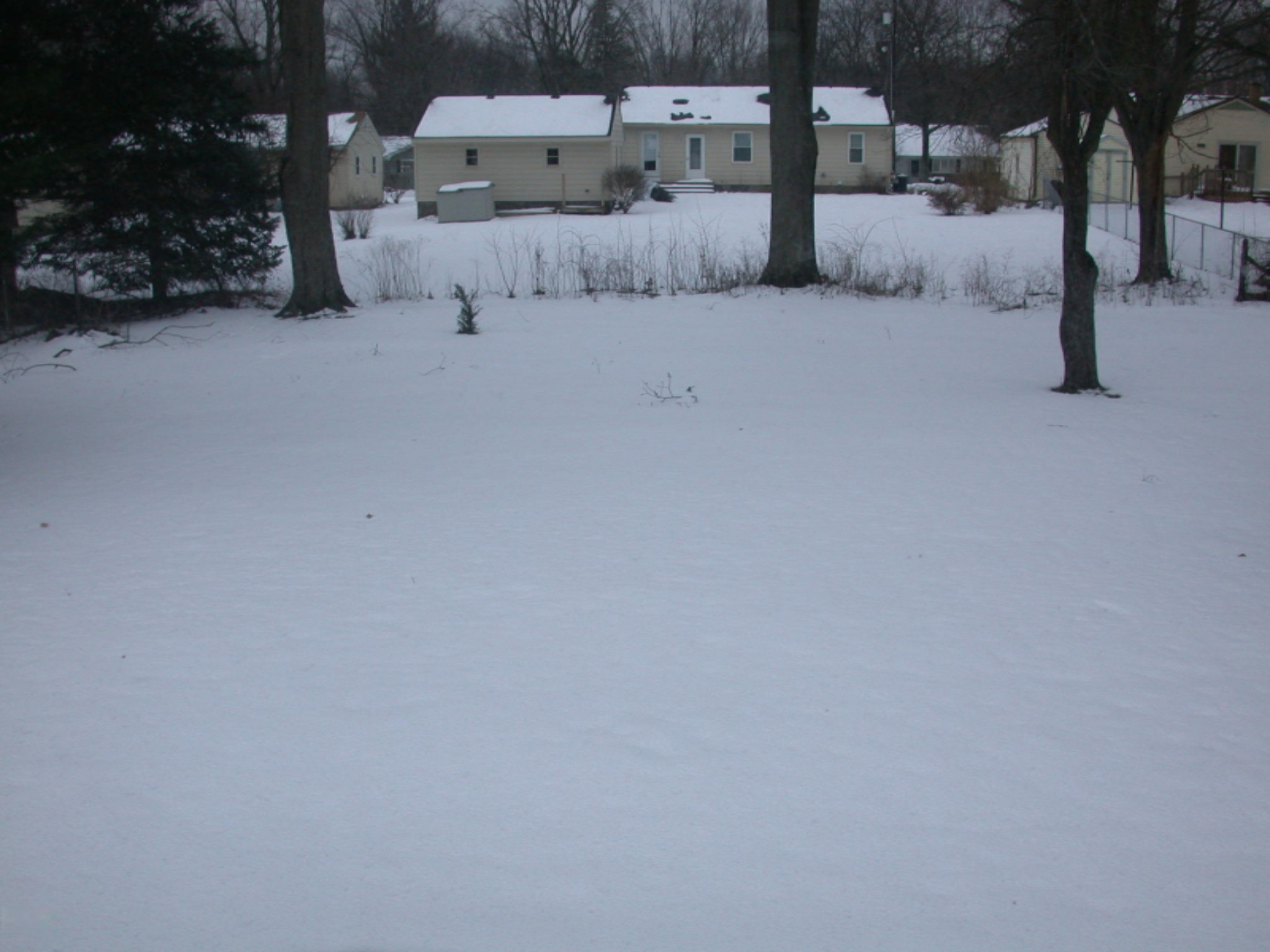 3703 Grand Prairie Road Kalamazoo, MI 49006 - Photo 8 of 8 backyard