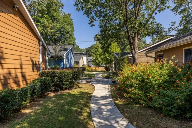 a view of a yard with plants and large trees