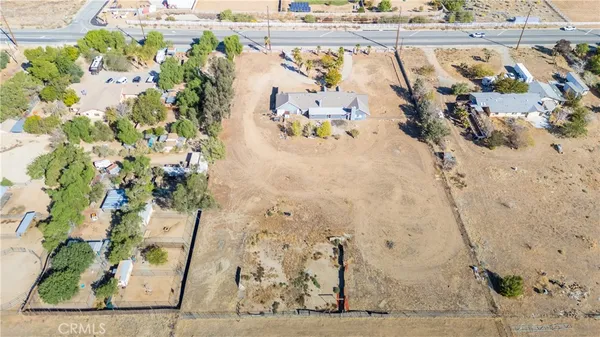 a view of painting and has flowers