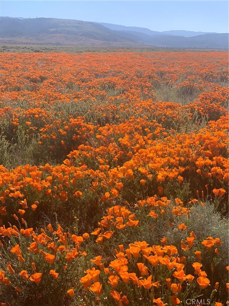 46404 Kings Canyon Road Lancaster, CA 93536 - Photo 36 of 41 a view of city and ocean