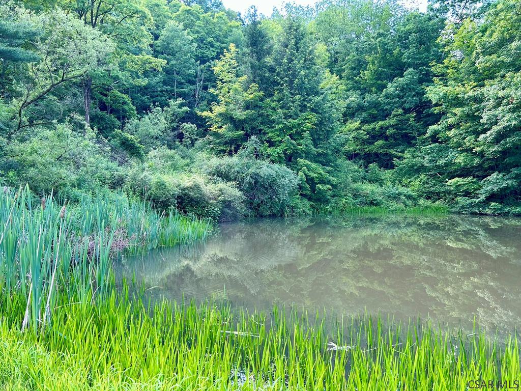 4627 Water Level Road Rockwood, PA 15557 - Photo 24 of 28