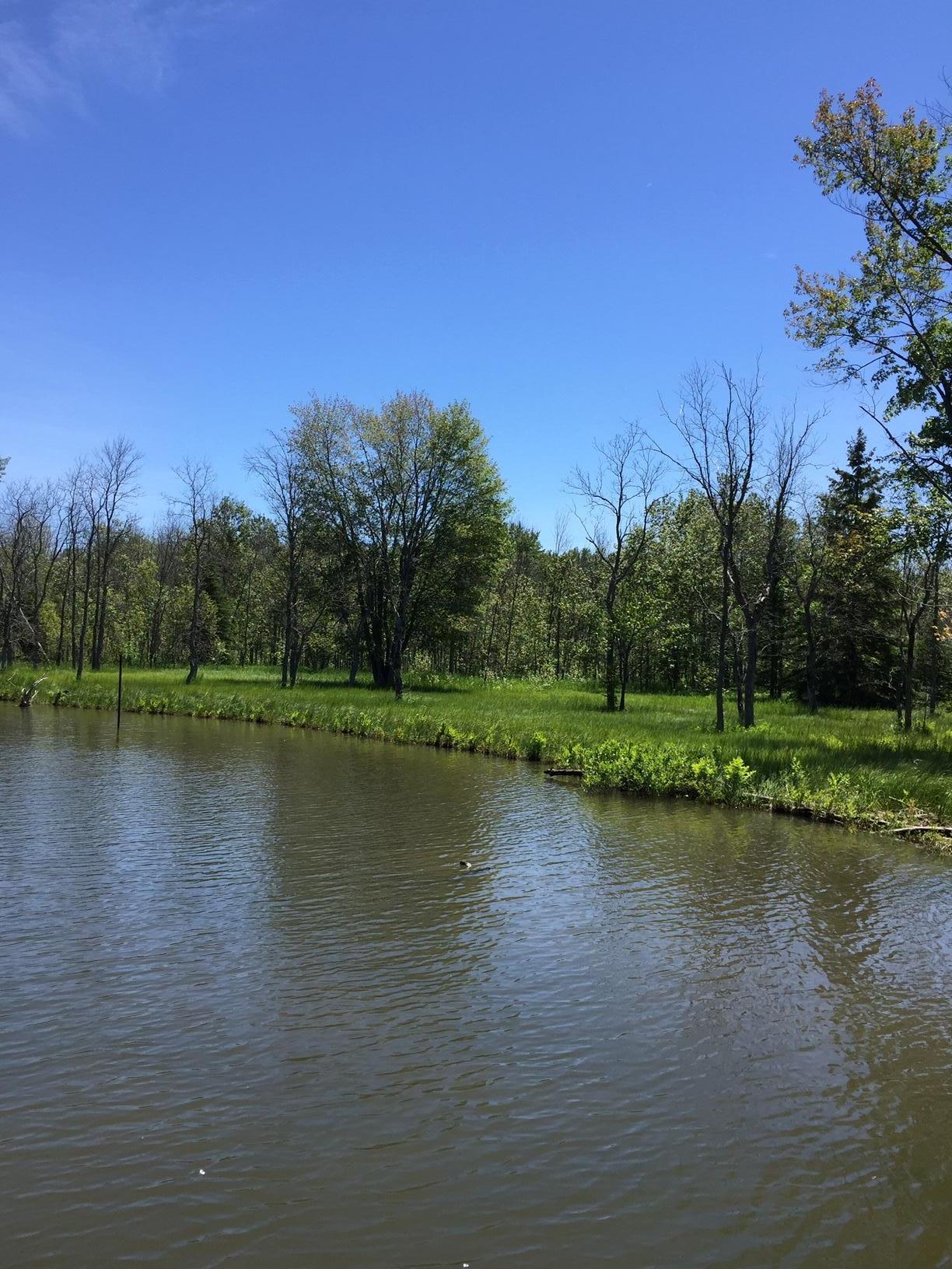 5486 Mission Road Alanson, MI 49706 - Photo 12 of 12 Gallery Image 12