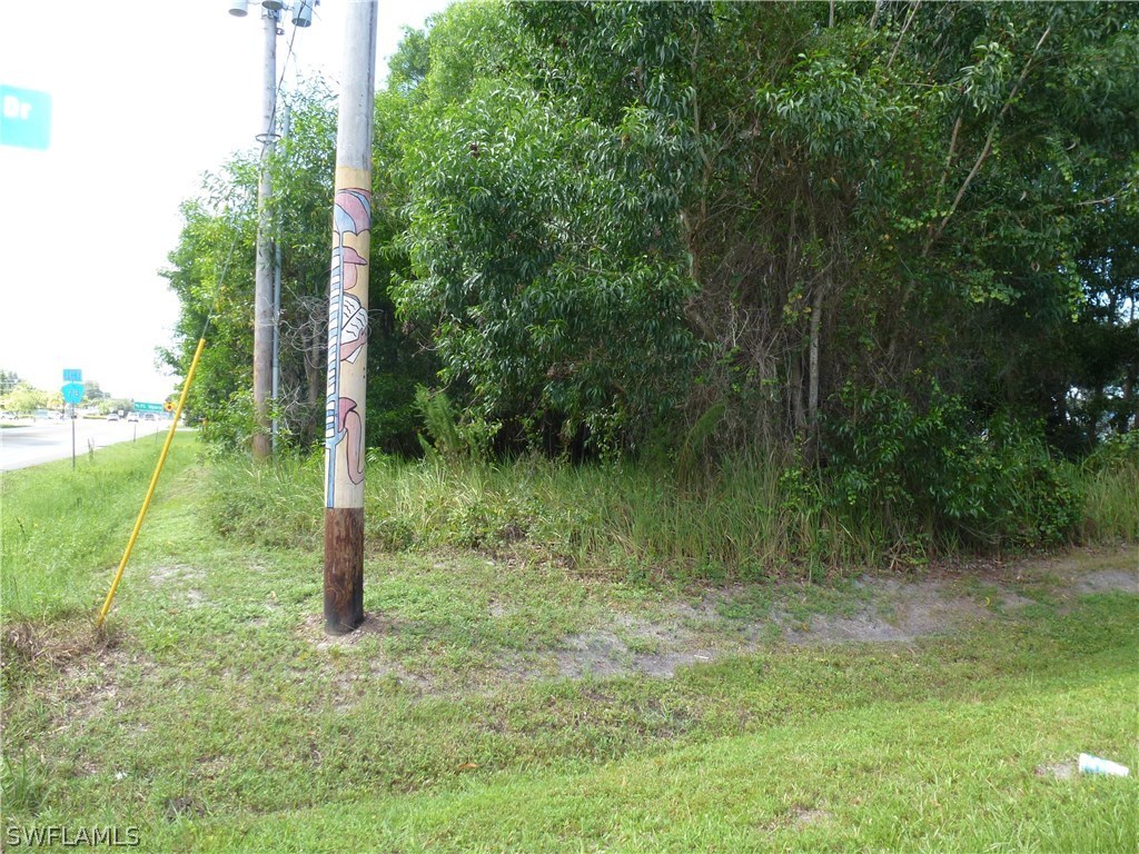 10627 Stringfellow Road Bokeelia, FL 33922 - Photo 1 of 8 a view of a garden with a tree
