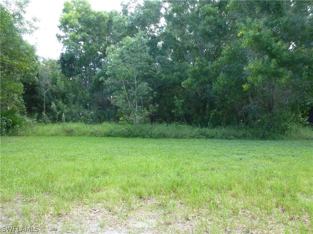 10627 Stringfellow Road Bokeelia, FL 33922 - Photo 3 of 8 a view of a grassy field with trees in the background