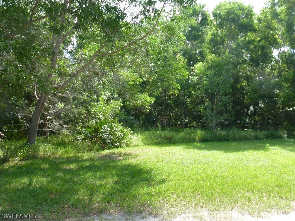 10627 Stringfellow Road Bokeelia, FL 33922 - Photo 5 of 8 a view of green field with trees in the background