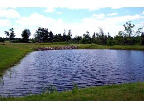 6 Todd Farm Road New London, NH 03257 - Photo 3 of 3