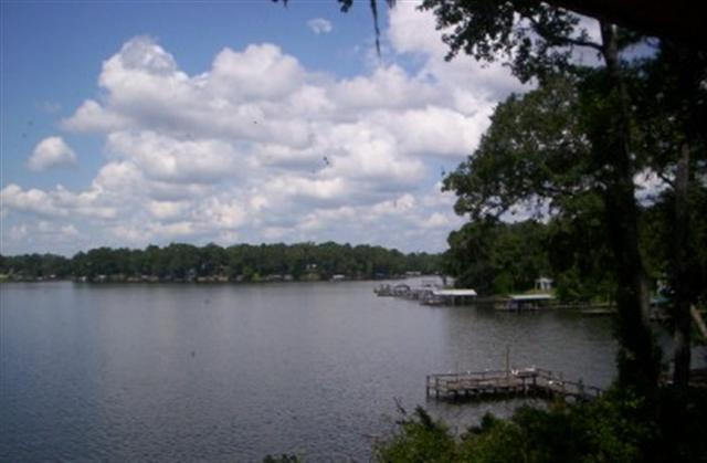 2698 Lakeview Point Road Quincy, FL 32351 - Photo 1 of 17