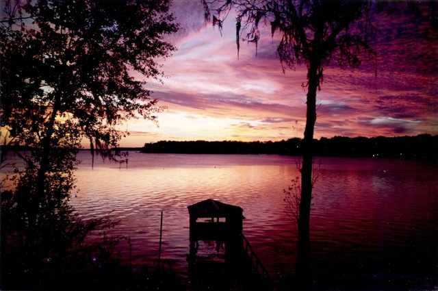 2698 Lakeview Point Road Quincy, FL 32351 - Photo 17 of 17