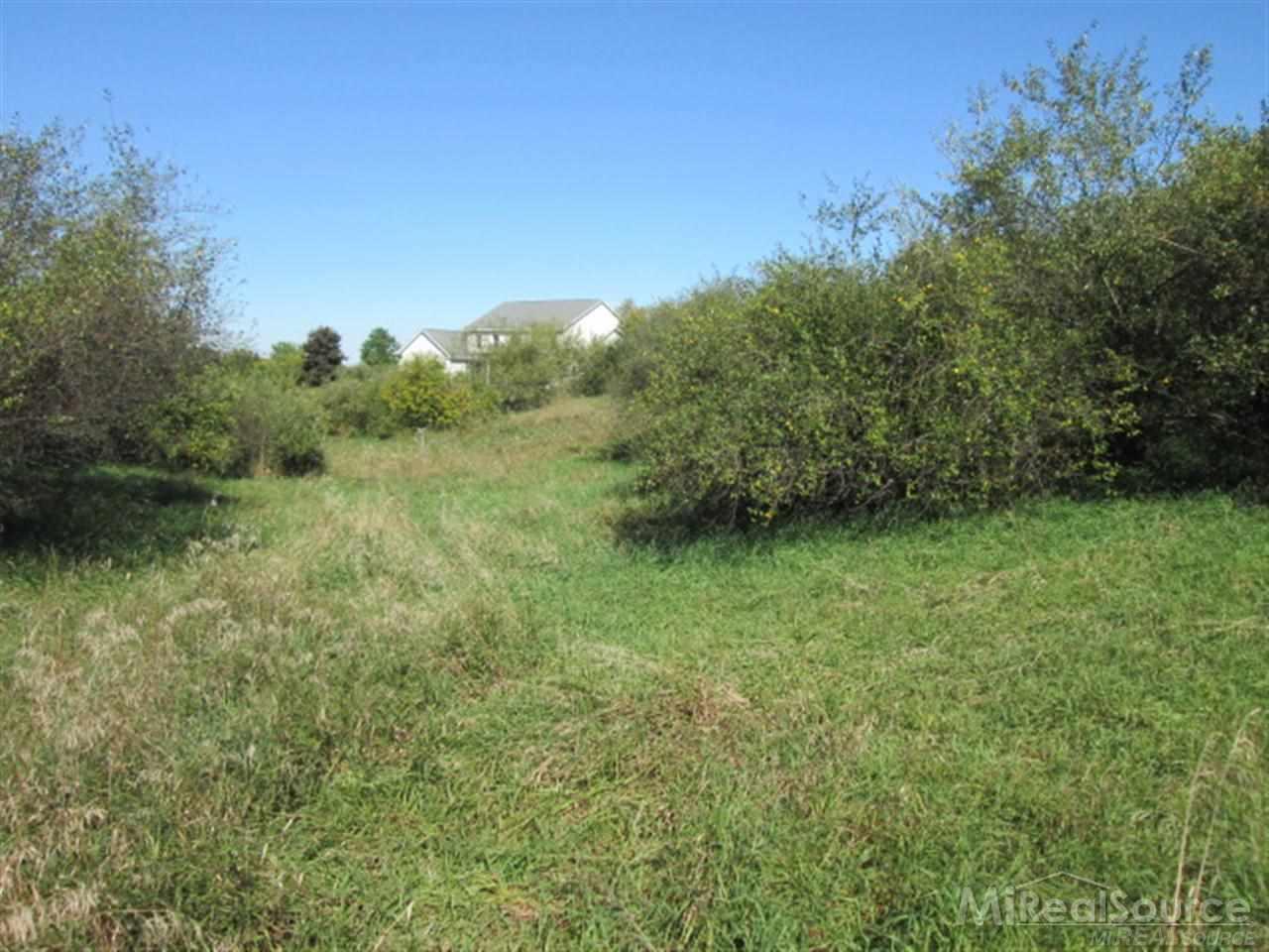 65338 Dequindre Road Washington, MI 48095 - Photo 12 of 28