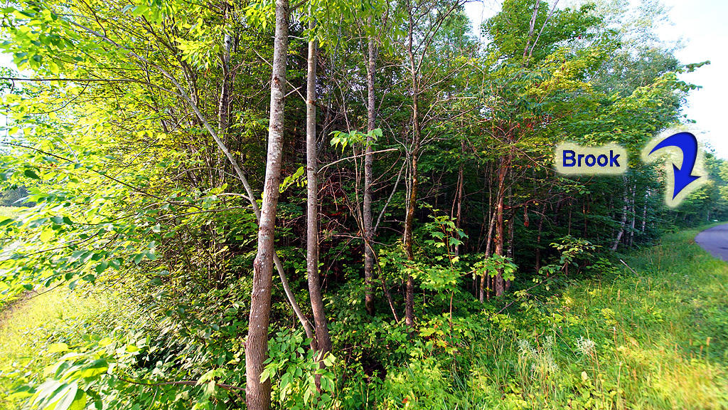 Lot 9-1 New Limerick Road Houlton, ME 04730 - Photo 8 of 40 leisner-maine-land-14