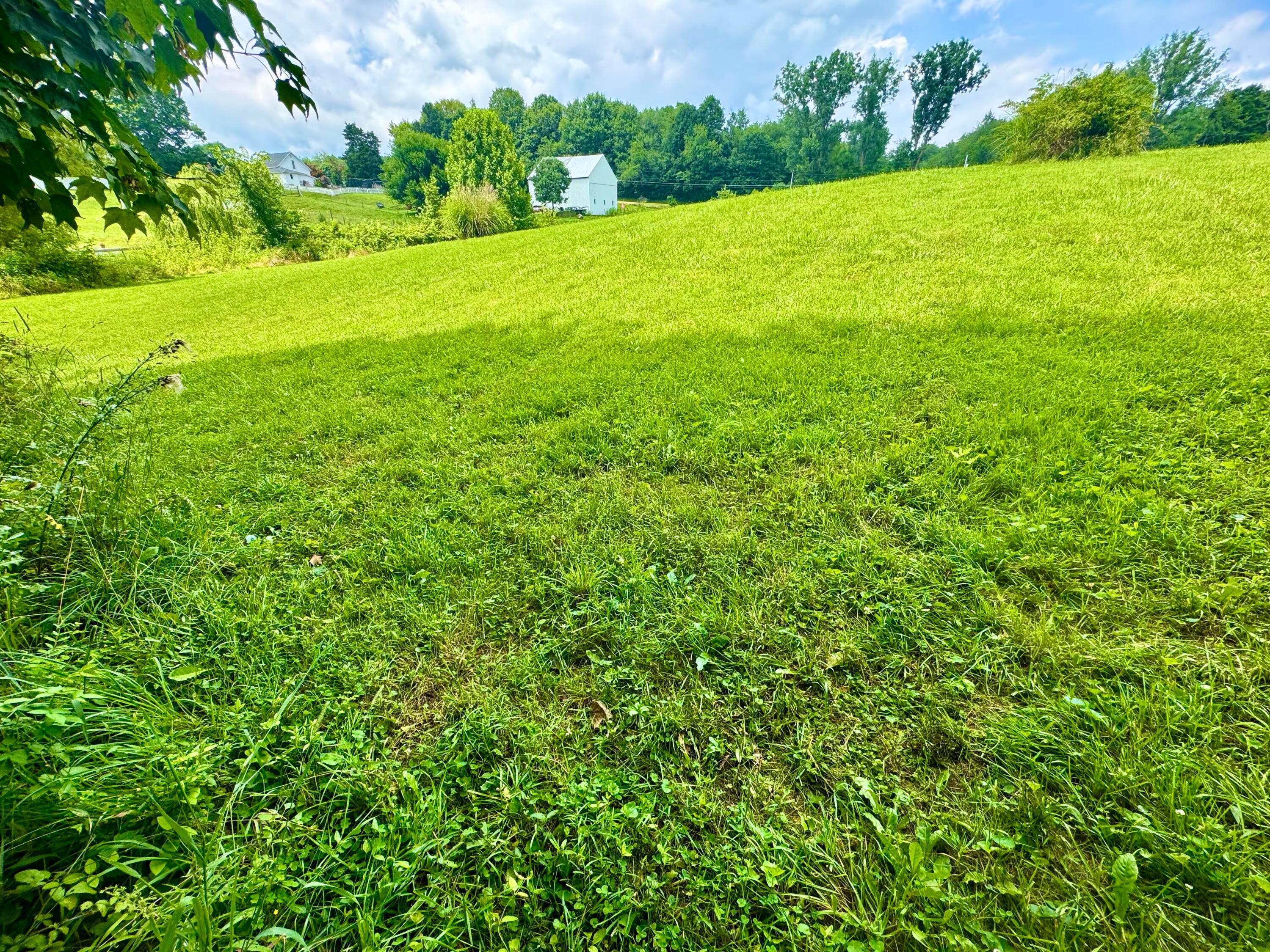0 Indian Hills Road Mount Vernon, OH 43050 - Photo 11 of 21 IMG_6141
