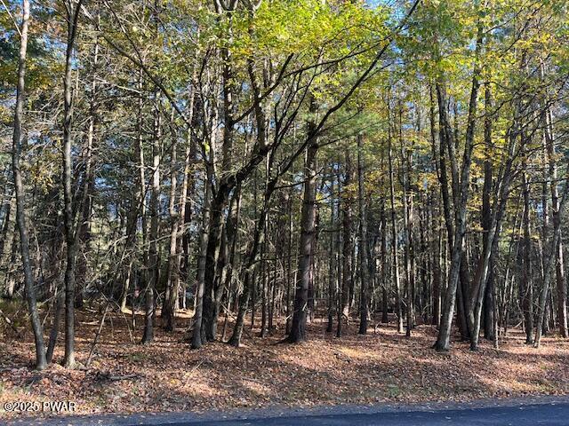 Lot 36 Fox Road Bushkill, PA 18324 - Photo 2 of 10