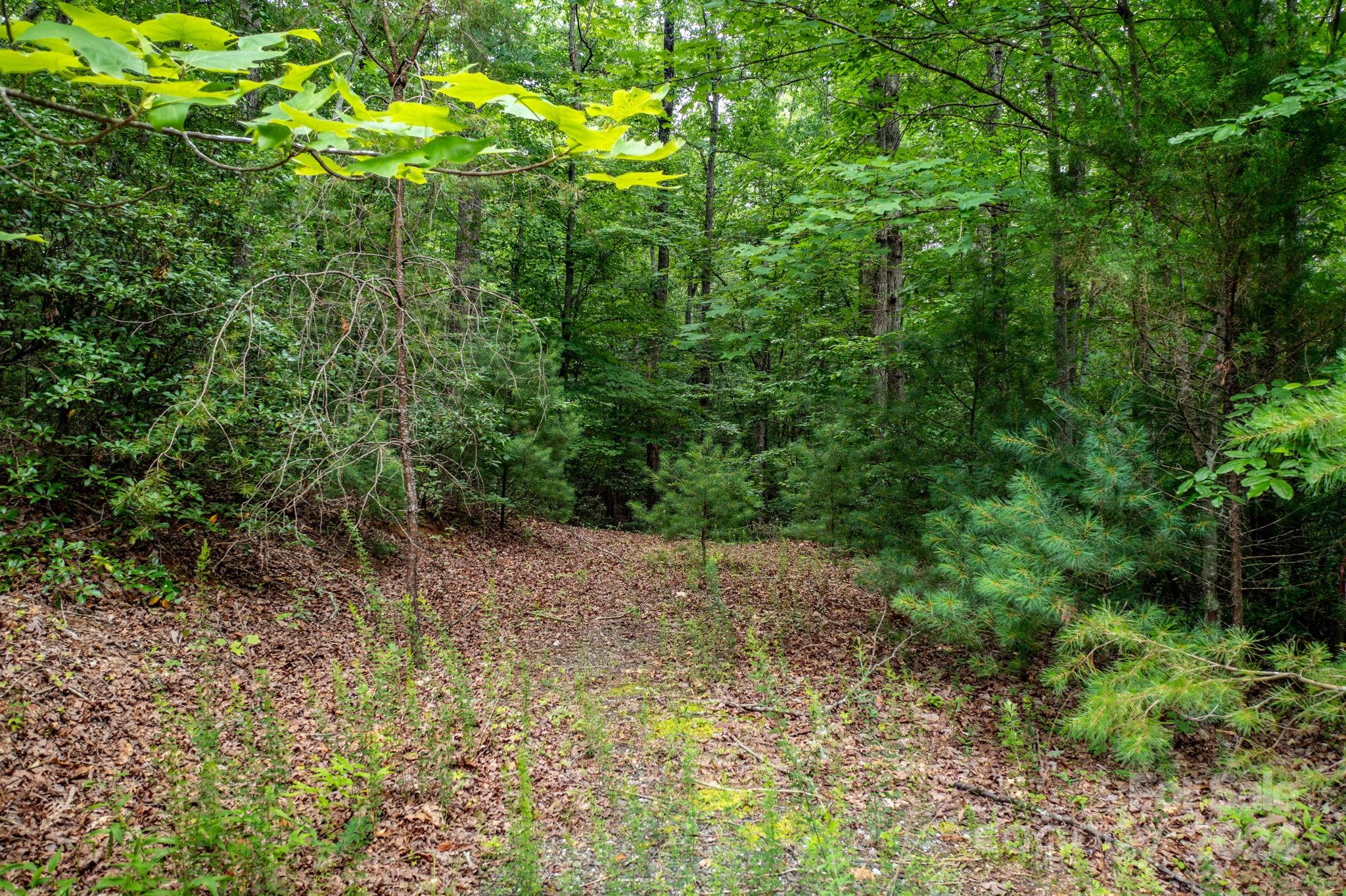 Lot#11 Bridle Ridge Way, Unit 11 Lenoir, NC 28645 - Photo 1 of 33 Gallery Image 1