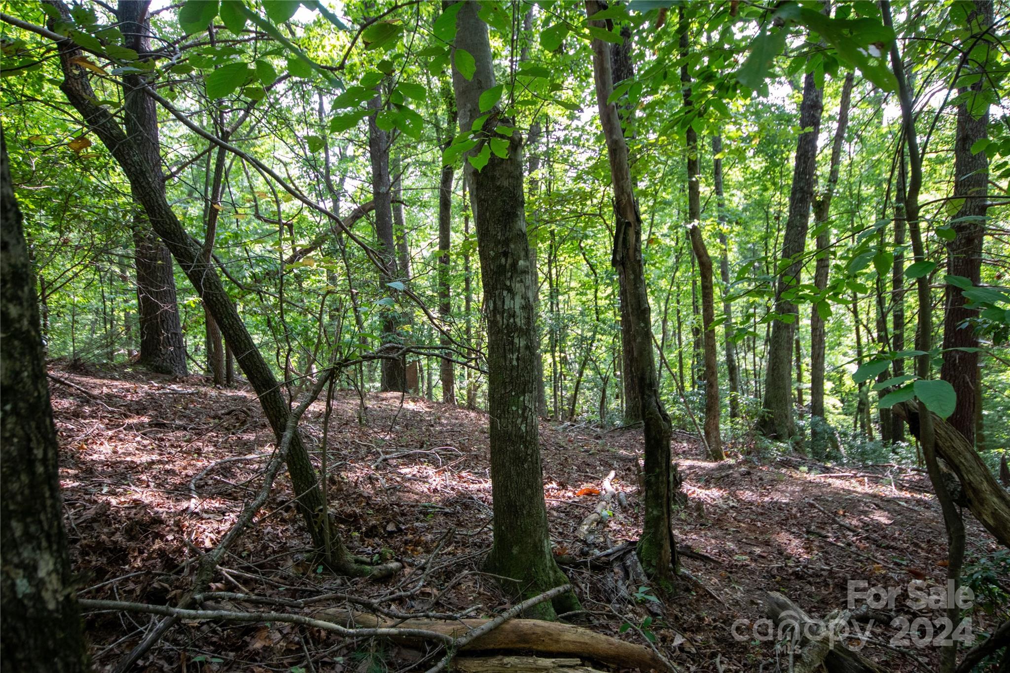 Lot#11 Bridle Ridge Way, Unit 11 Lenoir, NC 28645 - Photo 12 of 33 Gallery Image 12