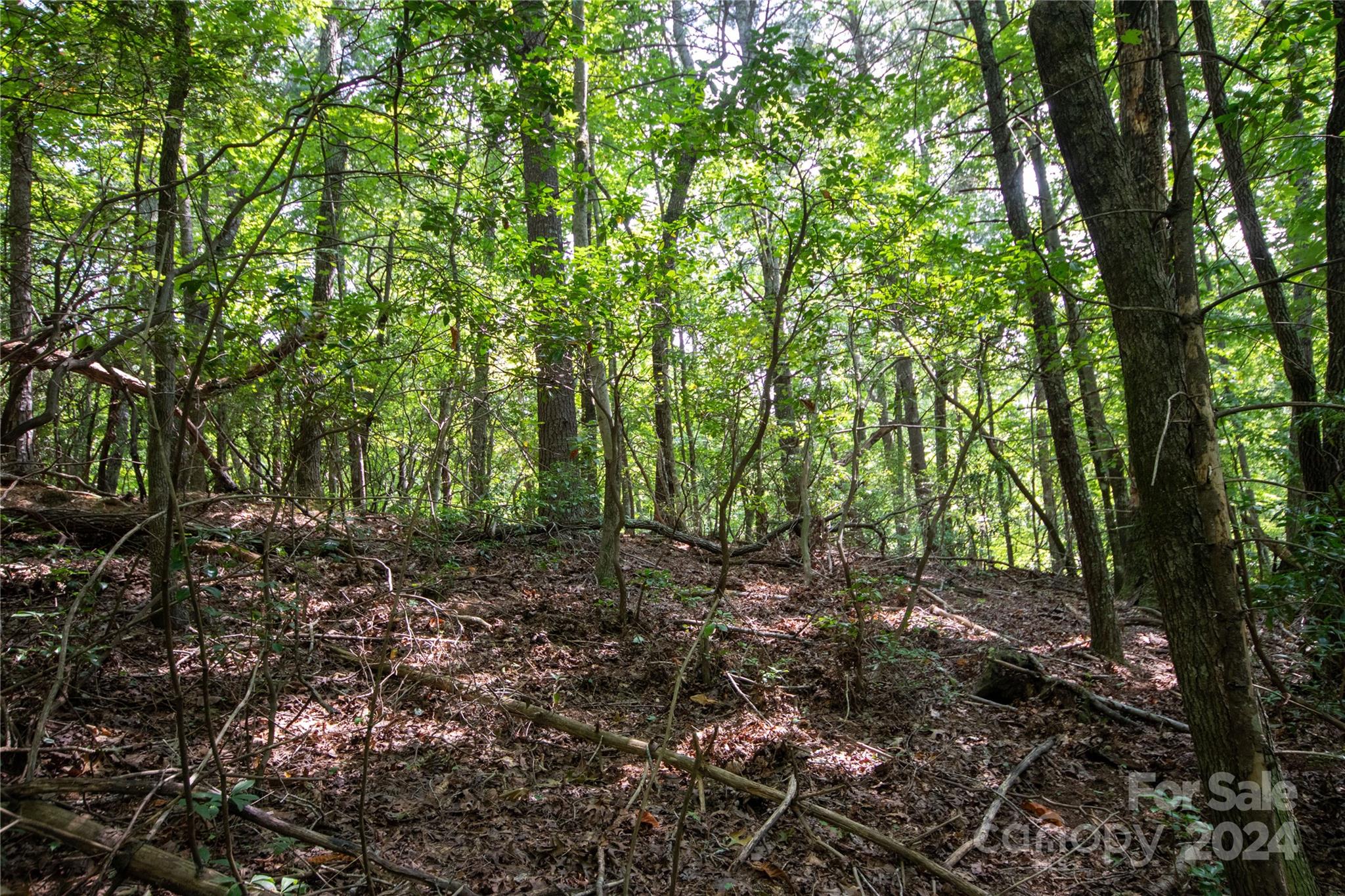 Lot#11 Bridle Ridge Way, Unit 11 Lenoir, NC 28645 - Photo 13 of 33 Gallery Image 13