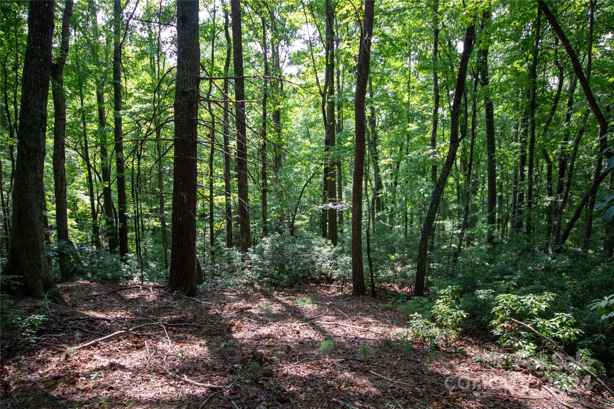 Lot#11 Bridle Ridge Way, Unit 11 Lenoir, NC 28645 - Photo 14 of 33 Gallery Image 14