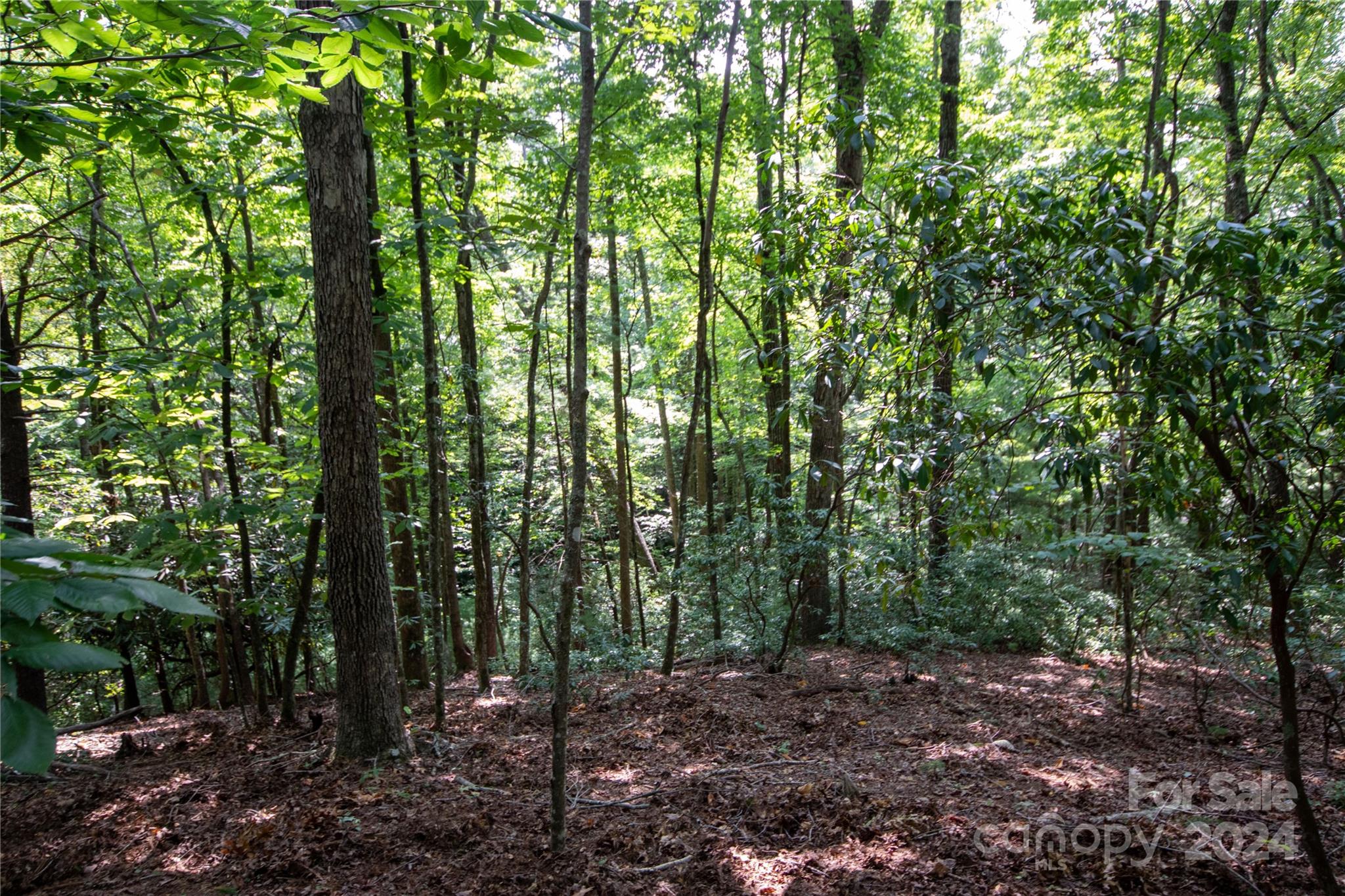 Lot#11 Bridle Ridge Way, Unit 11 Lenoir, NC 28645 - Photo 15 of 33 Gallery Image 15