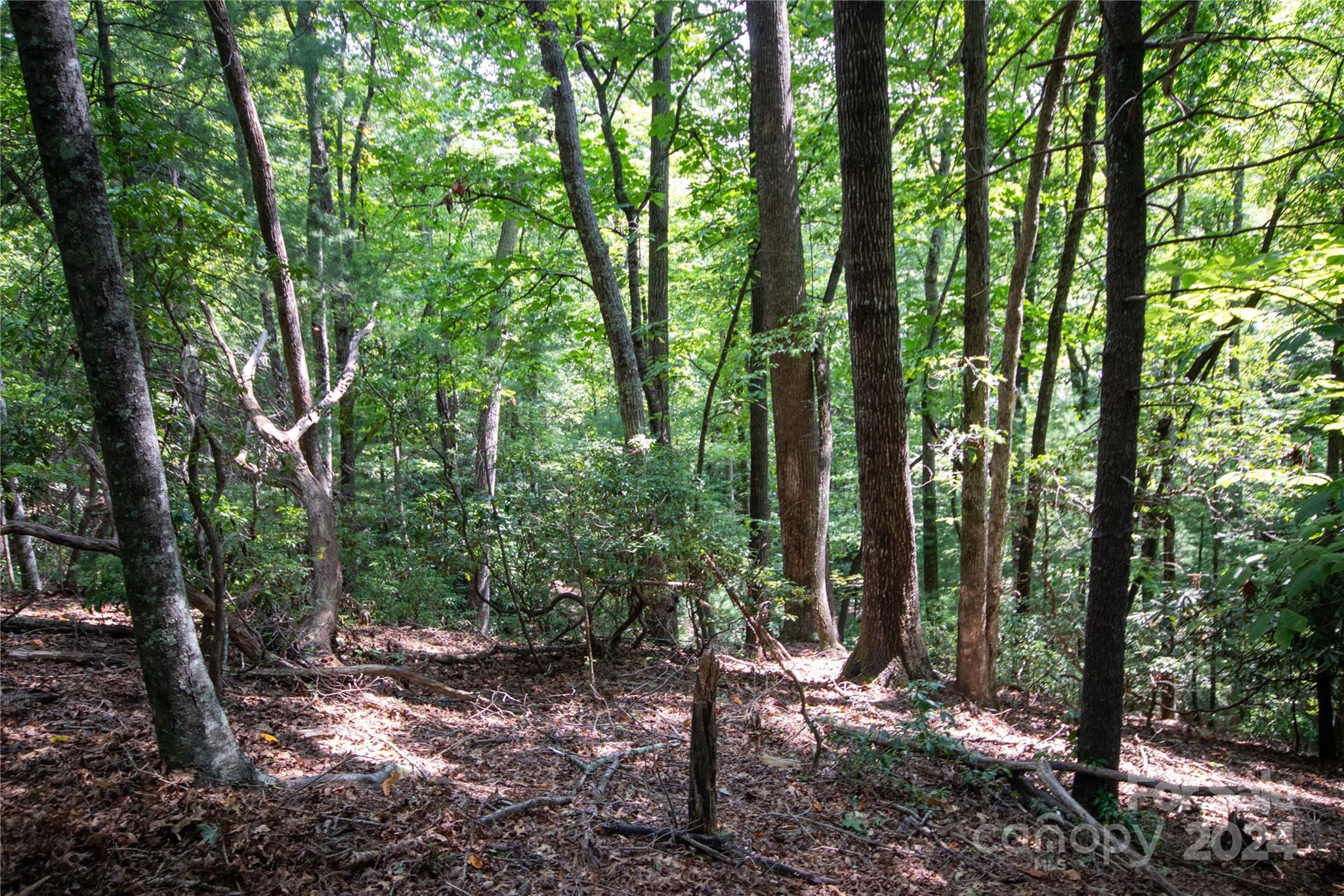 Lot#11 Bridle Ridge Way, Unit 11 Lenoir, NC 28645 - Photo 16 of 33 Gallery Image 16