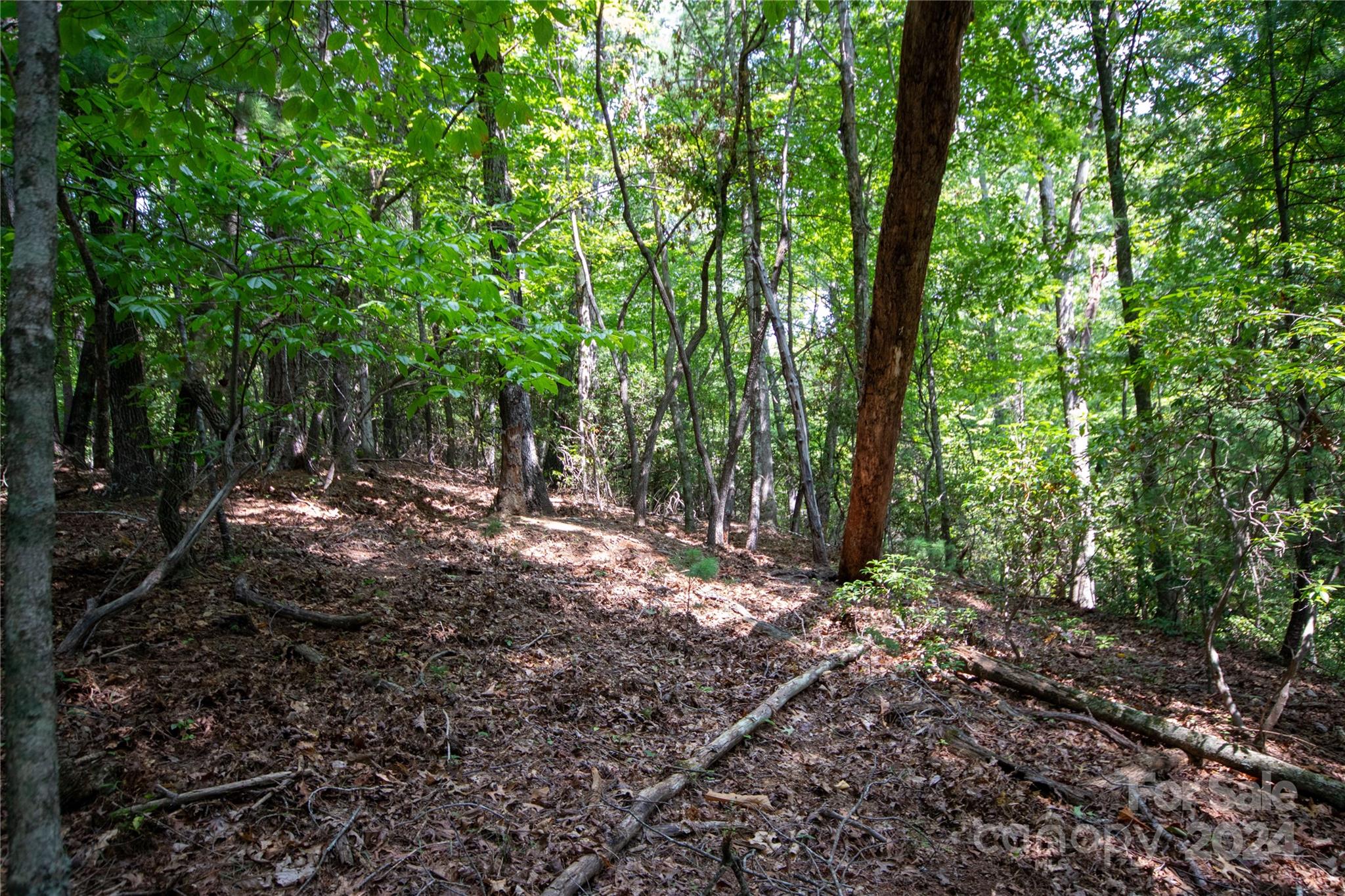 Lot#11 Bridle Ridge Way, Unit 11 Lenoir, NC 28645 - Photo 17 of 33 Gallery Image 17