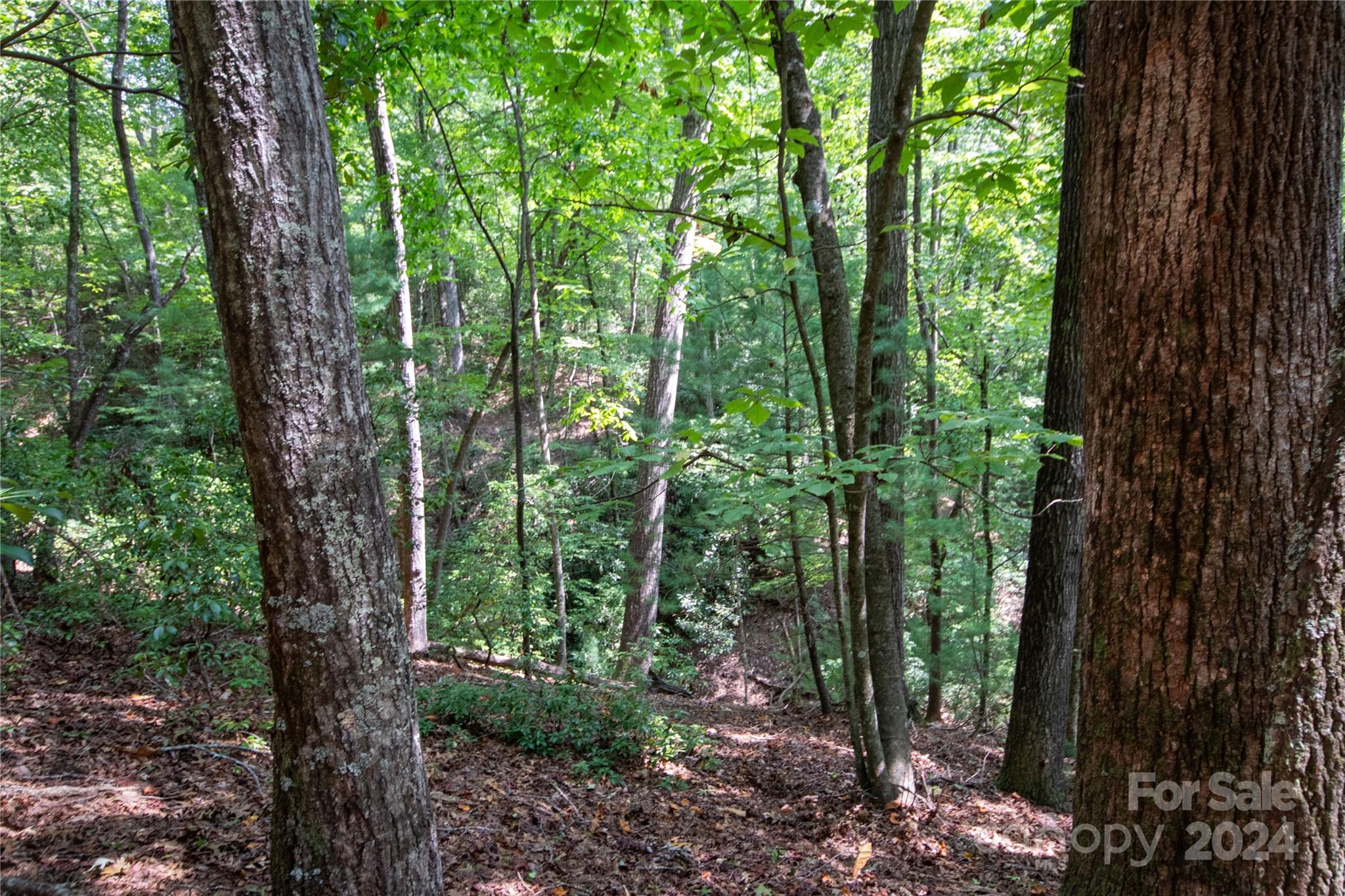 Lot#11 Bridle Ridge Way, Unit 11 Lenoir, NC 28645 - Photo 19 of 33 Gallery Image 19