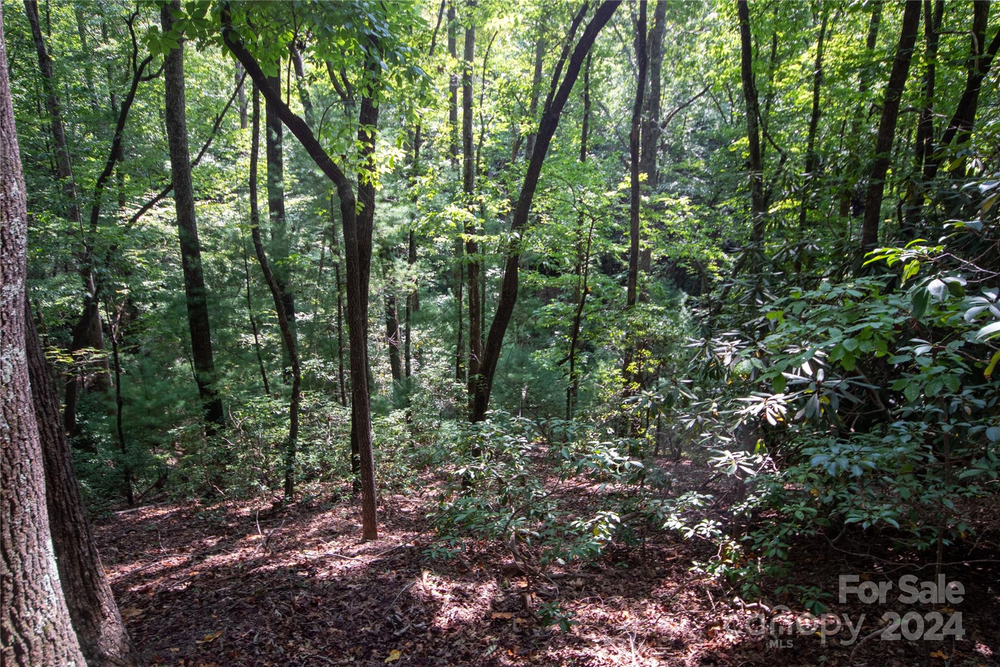 Lot#11 Bridle Ridge Way, Unit 11 Lenoir, NC 28645 - Photo 20 of 33 Gallery Image 20