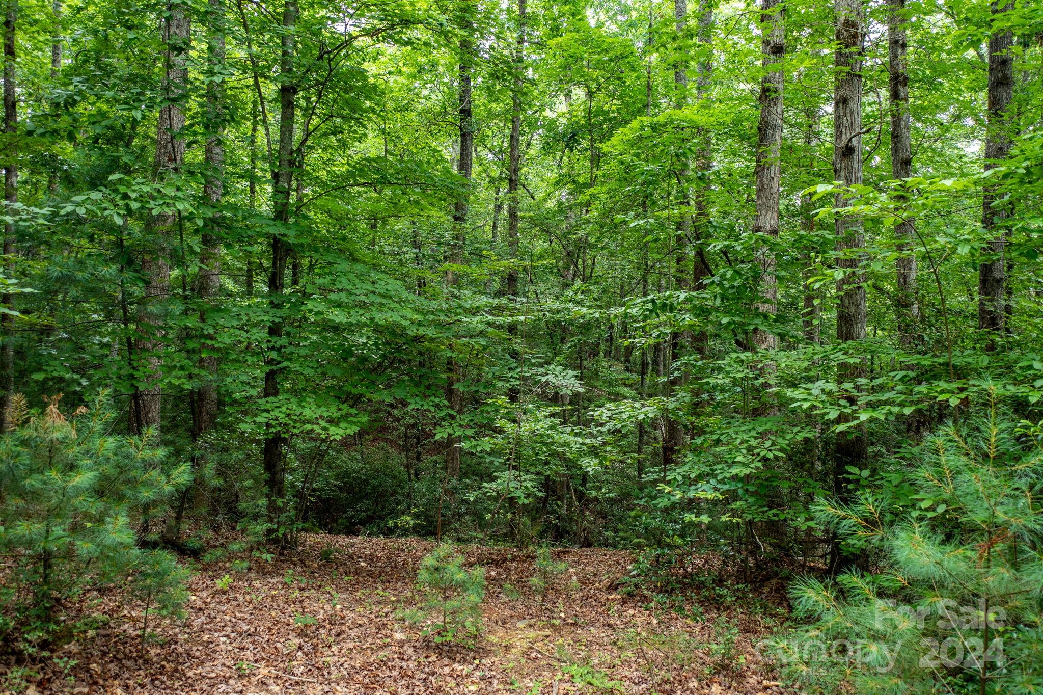 Lot#11 Bridle Ridge Way, Unit 11 Lenoir, NC 28645 - Photo 2 of 33 Gallery Image 2